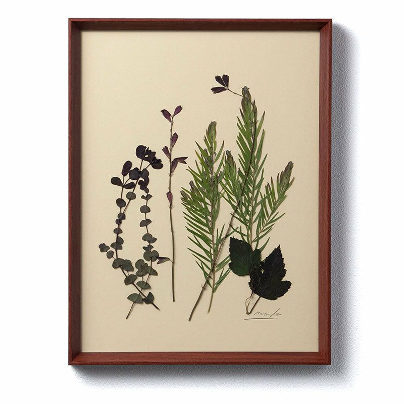 C’est la vie,セラヴィ