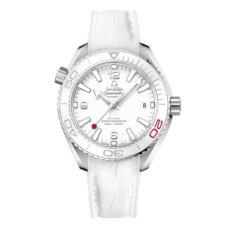 OMEGA SEAMASTER PLANET OCEAN 600M CO-AXIAL MASTER