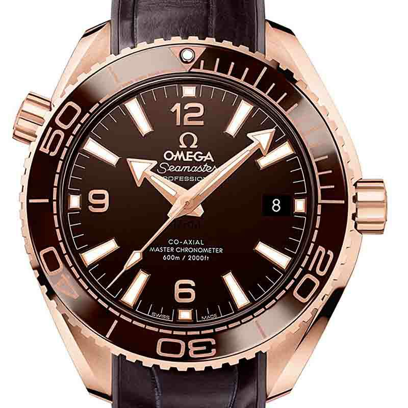 OMEGA SEAMASTER PLANET OCEAN 600M OMEGA CO-AXIAL MASTER CHRONOMETER 39.5MM オメガ シーマスター プラネットオーシャン 600Mオメガ コーアクシャル マスター クロノメーター 39.5MM チョコレート 215.63.40.20.13.001