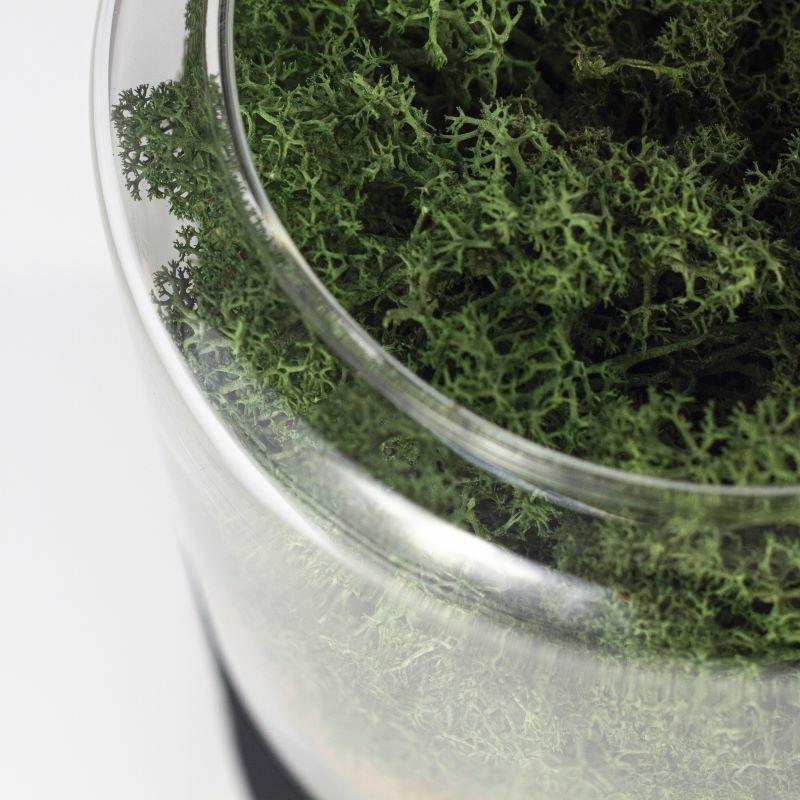 briiv Air cleaner <br>ブリーブ 空気清浄機 <br>BV-0001