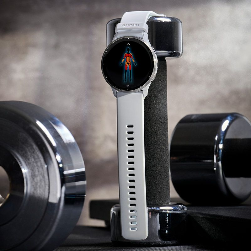 GARMIN Venu 3 Whitestone / Silver ガーミン ヴェニュー 3 ホワイト 