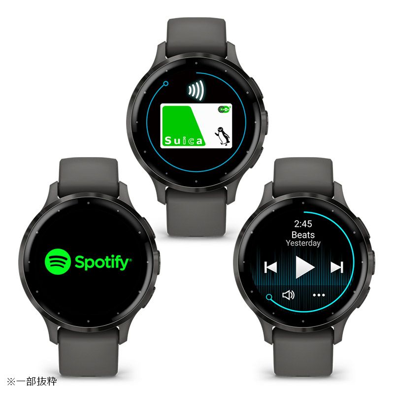 GARMIN Venu 3S Black Sesame / Slate ガーミン ヴェニュー 3S 