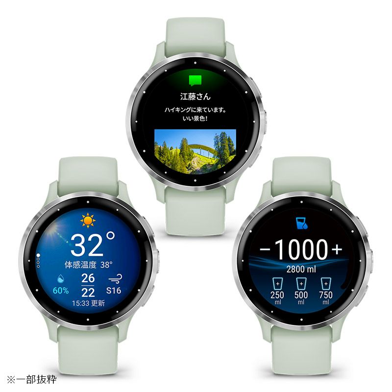 GARMIN Venu 3S Sage Gray / Silver ガーミン ヴェニュー 3S セージ  