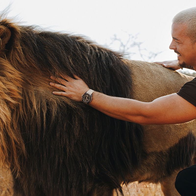 NORQAIN WILD ONE HAKUNA MIPAKA LIMITED EDITION <br>ノルケイン ワイルド ワン ハクナ ミパカ リミテッドエディション <br>NNQ3000QNX1LA/X001/3W1XR.20NQ