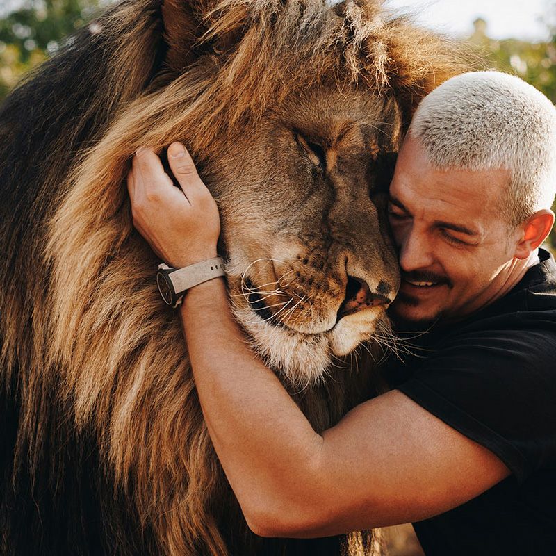 NORQAIN WILD ONE HAKUNA MIPAKA LIMITED EDITION <br>ノルケイン ワイルド ワン ハクナ ミパカ リミテッドエディション <br>NNQ3000QNX1LA/X001/3W1XR.20NQ