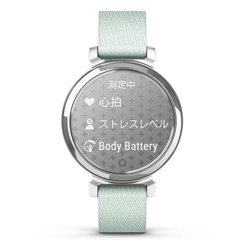 GARMIN Lily 2 Classic Sage Gray Nylon / Silver ガーミン リリー2 