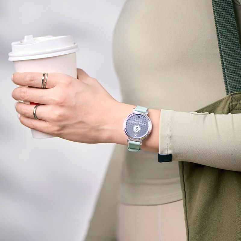 GARMIN Lily 2 Classic Sage Gray Nylon / Silver ガーミン リリー2 