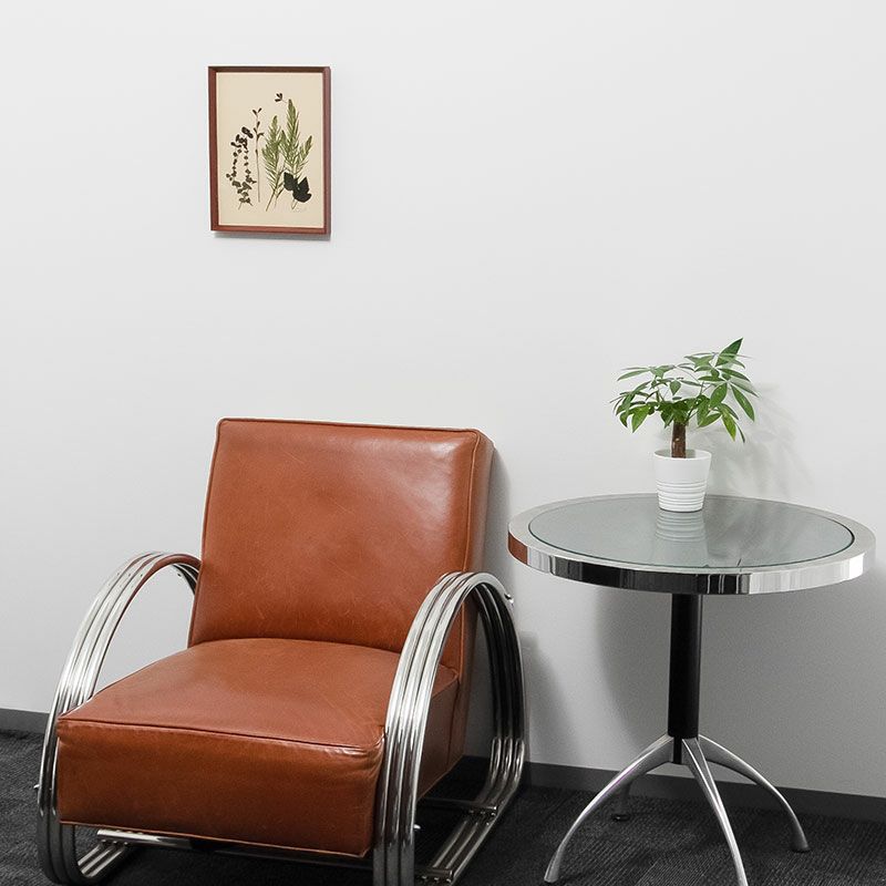 Ｃ’est la vie plants sechees A4 セラヴィ プランツセシェ 押花 インテリア アート 壁飾り A4サイズ C-009