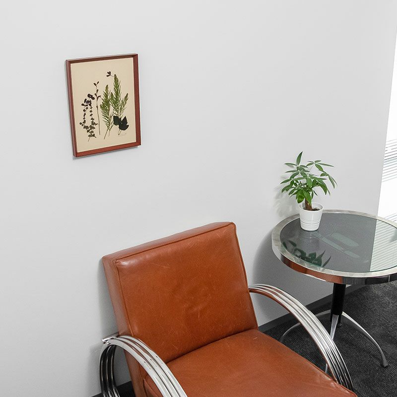 Ｃ’est la vie plants sechees A4 セラヴィ プランツセシェ 押花 インテリア アート 壁飾り A4サイズ C-009