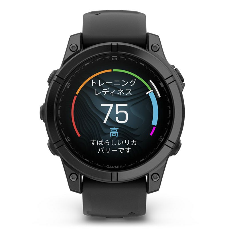 GARMIN fenix E 47mm Slate Gray Steel / Black ガーミン フェニックス E 010-03025-12