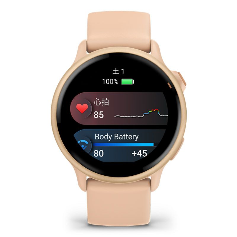 GARMIN vivoactive 6 Pink Dawn / Pink Dawn Metallic ガーミン ヴィヴォアクティブ 6 ピンクドーン / ピンクドーン メタリック 010-02985-33