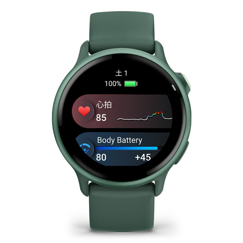 GARMIN vivoactive 6 Jasper Green / Jasper Green Metallic ガーミン ヴィヴォアクティブ 6 ジャスパーグリーン / ジャスパーグリーン メタリック 010-02985-32