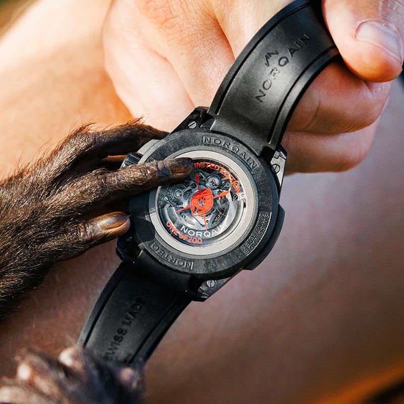 NORQAIN WILD ONE SKELETON 42MM HAKUNA MIPAKA LIMITED EDITION ノルケイン ワイルドワン スケルトン 42MM ハクナ ミパカ リミテッドエディション N3000.07Q17.B24